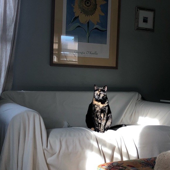 Meet your Posher, Susan - Picture 1 of 1